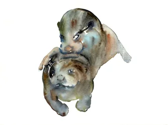 Unknown Title