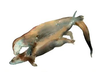Unknown Title