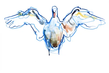 Wings Outstretched, 2022