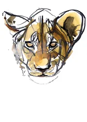 Yellow Cub, 2019