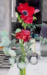 Poppies