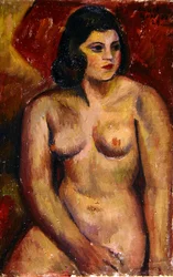 Study of a Female Nude