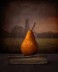 Golden Pear On Book