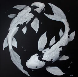 Yin Yang Koi Fish