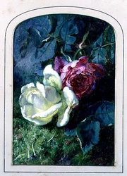 Roses and a Ladybird on a Mossy Bank