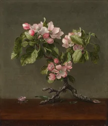 Apple Blossoms, 1873