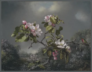 Apple Blossoms and Hummingbird, 1871