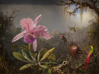 Cattleya Orchid and Three Brazilian Hummingbirds