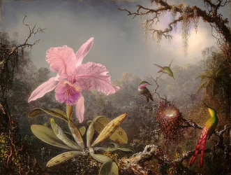 Cattleya Orchid and Three Hummingbirds. 1871