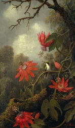 Hummingbird and Passionflowers, c. 1875-85