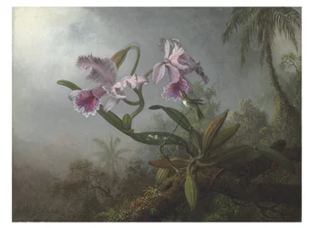 Pink Orchids and Hummingbird on a Twig, 1875