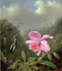 Still Life with an Orchid and a Pair of Hummingbirds