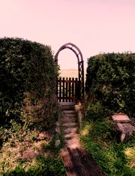 Arcadia