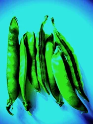 Pea Pods