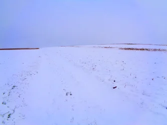 Fields in Winter