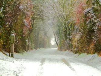 Country Road