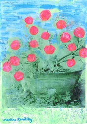 Rhododendron