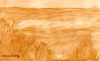 Summer Fields