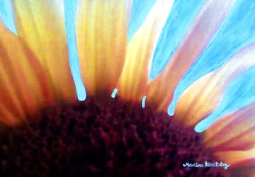 Sunflower and Summer Sky