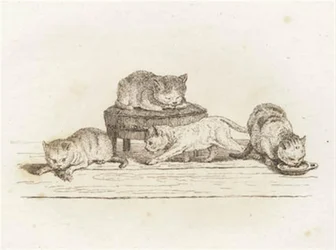 Illustration of 