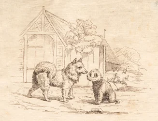 Illustration for 