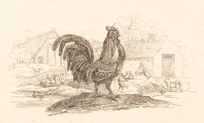 Illustration for 