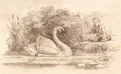 Illustration for "Fifty Fables for Children" by Hey