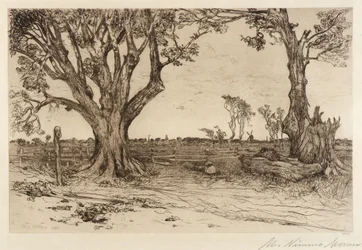 Old Lindens - Near Easthampton