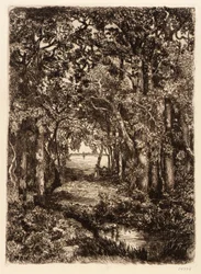The Sea through the Woods