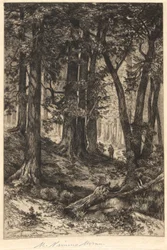 Untitled (Forest Scene)