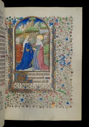 Visitation