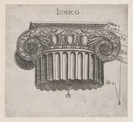 Speculum Romanae Magnificentiae: Ionic capital