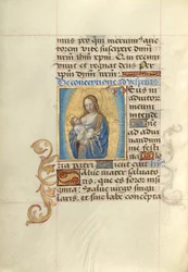 Nursing Virgin