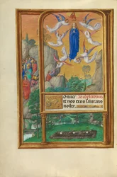 The Assumption of the Virgin