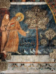 Preaching to the Birds
