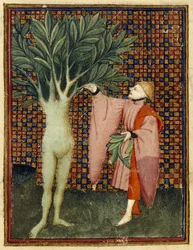 Apollo and Daphne