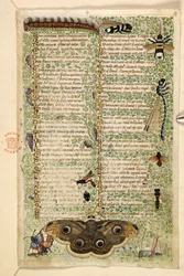 Wasps, moths, dragonflies and a caterpillar, from a Treatise on the Virtues and Vices, and an anonymous prose history of Sicily (fragment)