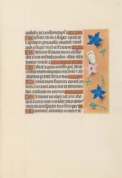 Hours of Queen Isabella the Catholic, Queen of Spain: Fol. 102r, c1500