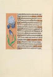 Hours of Queen Isabella the Catholic, Queen of Spain: Fol. 107v, c. 1500