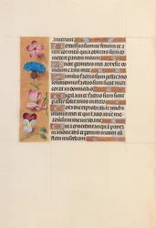 Hours of Queen Isabella the Catholic, Queen of Spain: Fol. 206v, c. 1500