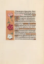 Hours of Queen Isabella the Catholic, Queen of Spain: Fol. 246v