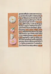 Hours of Queen Isabella the Catholic, Queen of Spain