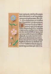 Hours of Queen Isabella the Catholic, Queen of Spain: Fol. 62v