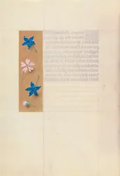 Hours of Queen Isabella the Catholic, Queen of Spain: Fol. 65v