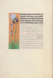 Hours of Queen Isabella the Catholic, Queen of Spain: Fol. 79v, c. 1500