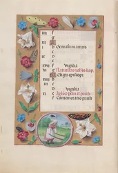 Hours of Queen Isabella the Catholic, Queen of Spain: Fol. 7v, June, c. 1500