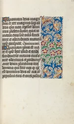 Book of Hours Use of Rouen: fol. 29r