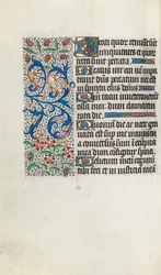 Book of Hours Use of Rouen: fol. 81v