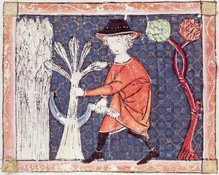 July: The Harvest