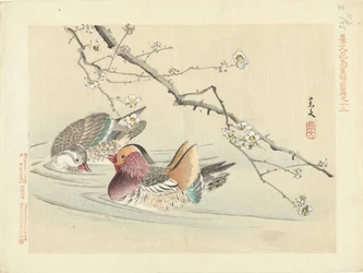 Two Ducks (Flower and Bird Sketches by Keibun - Part One)